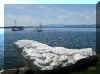 Random Pictures Gallery